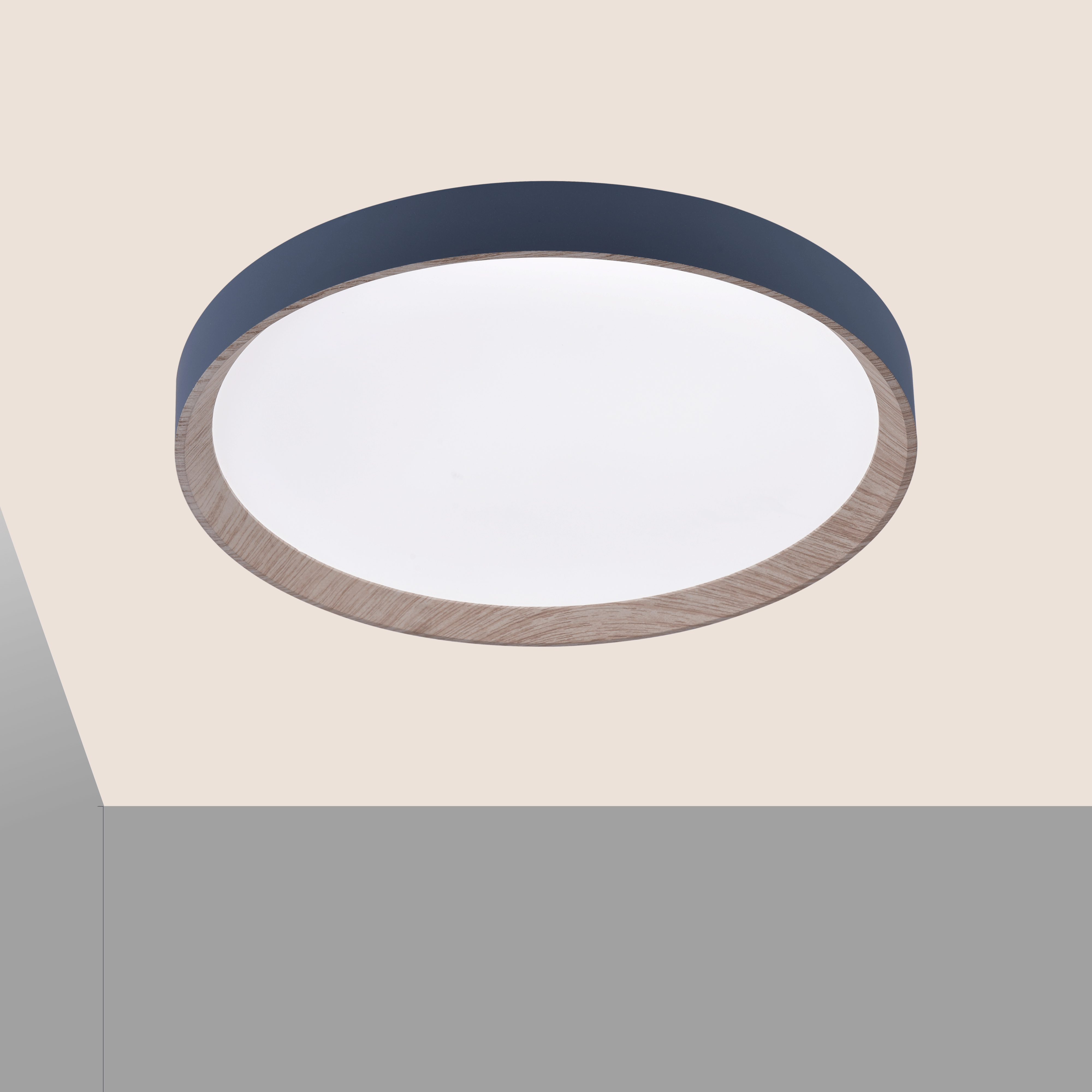Zenith LED Ceiling Light