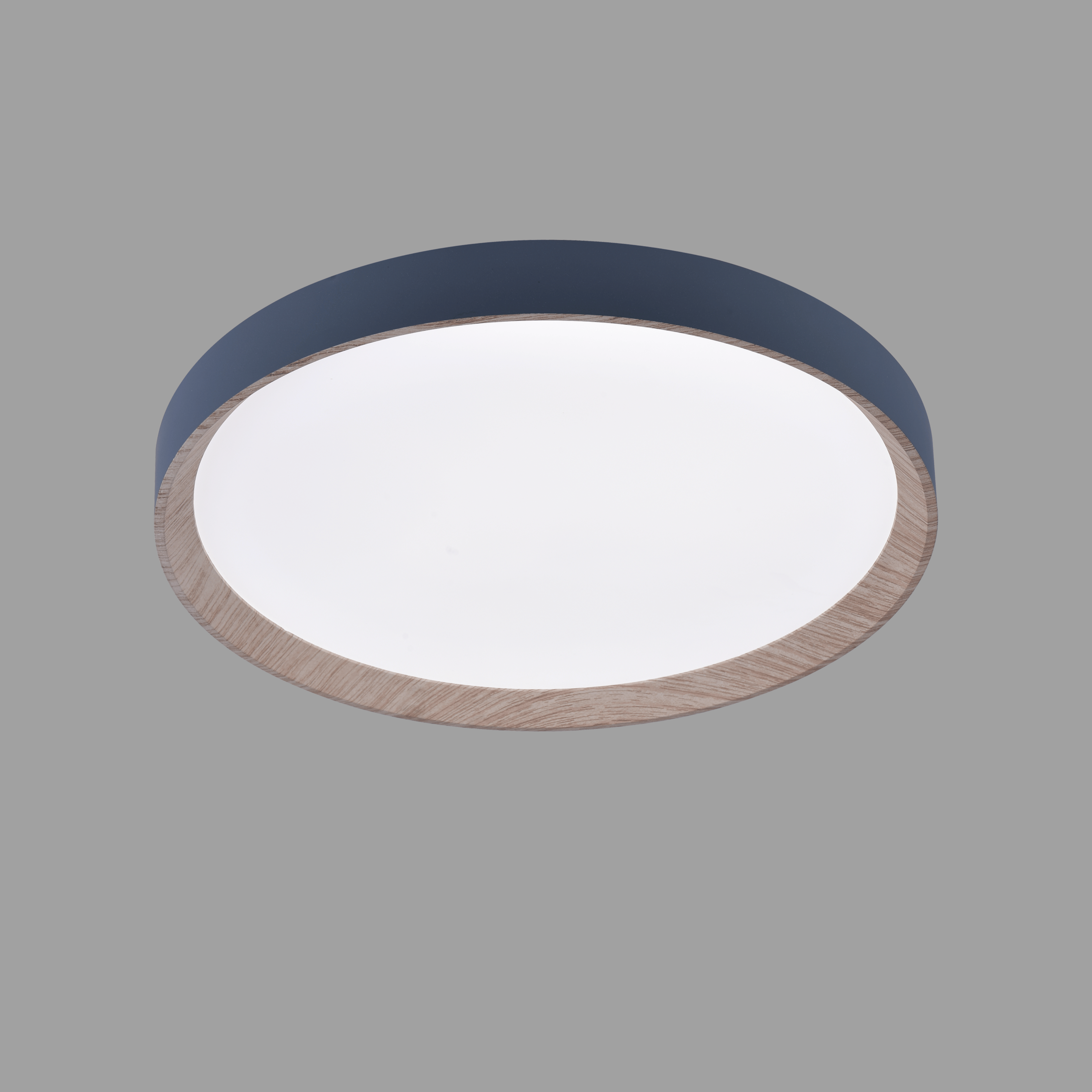 Zenith LED Ceiling Light