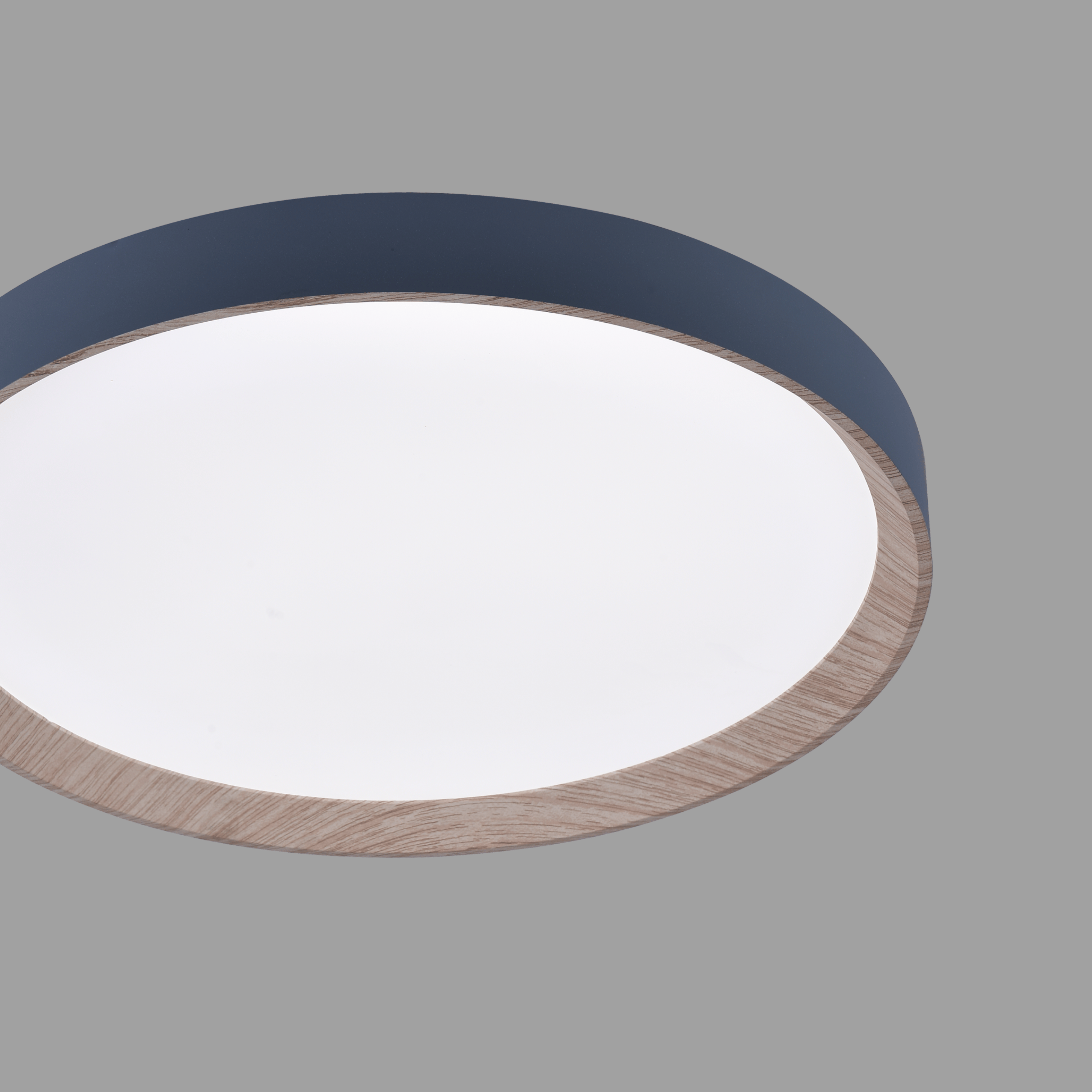 Zenith LED Ceiling Light