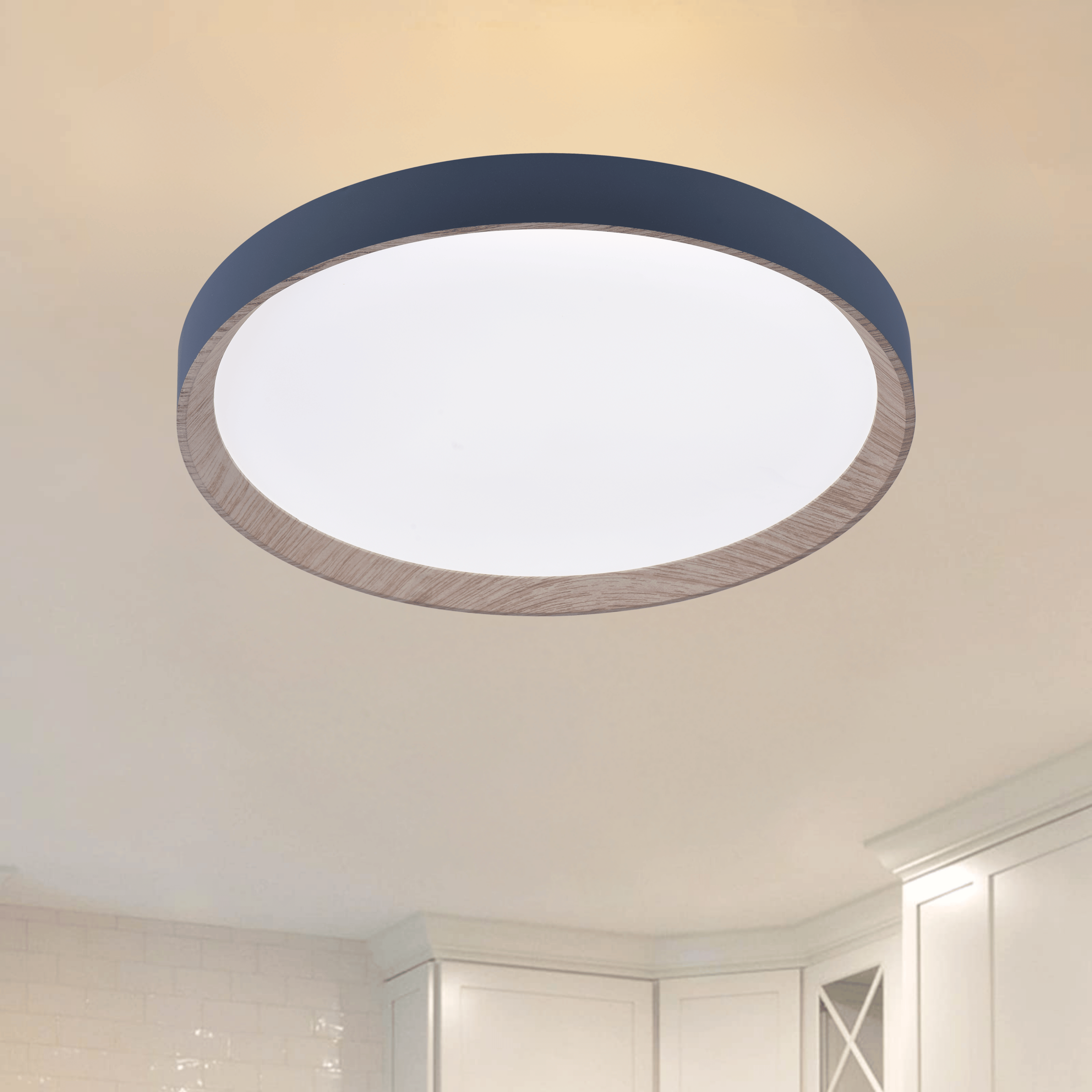 Zenith LED Ceiling Light
