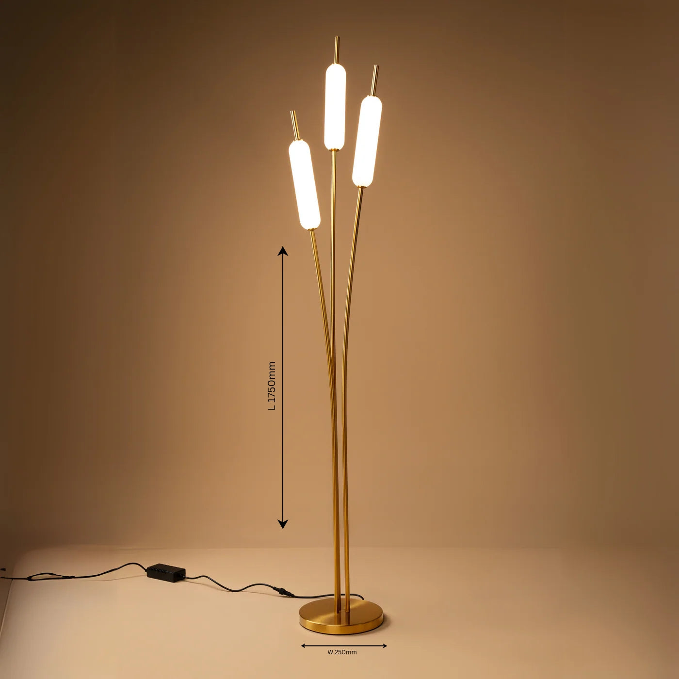 Ascend Floor Lamp - Teenbatti