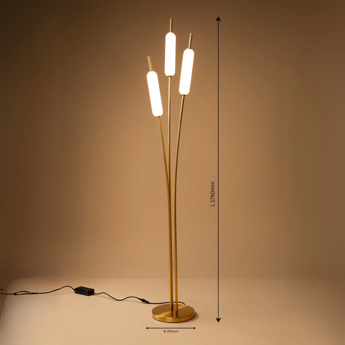 Ascend Floor Lamp