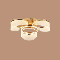 Golden Halo Ceiling Light