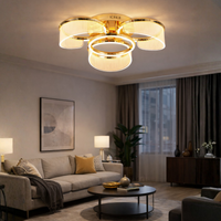 Golden Halo Ceiling Light