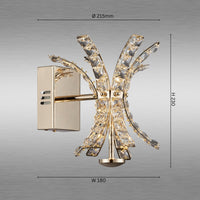 Celeste Starburst Wall Light