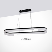 Serpentine Linear Light