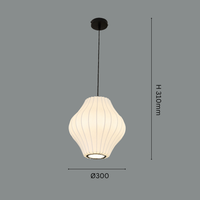 The Nimbus Lantern Pendant Light