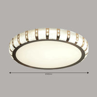 Radiant Disc Ceiling Light