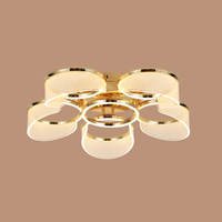 Golden Halo Ceiling Light