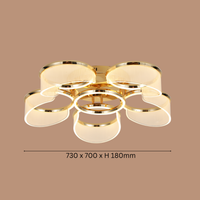 Golden Halo Ceiling Light