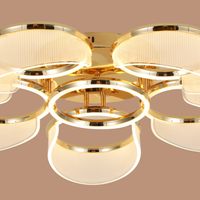 Golden Halo Ceiling Light