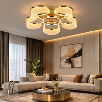 Golden Halo Ceiling Light
