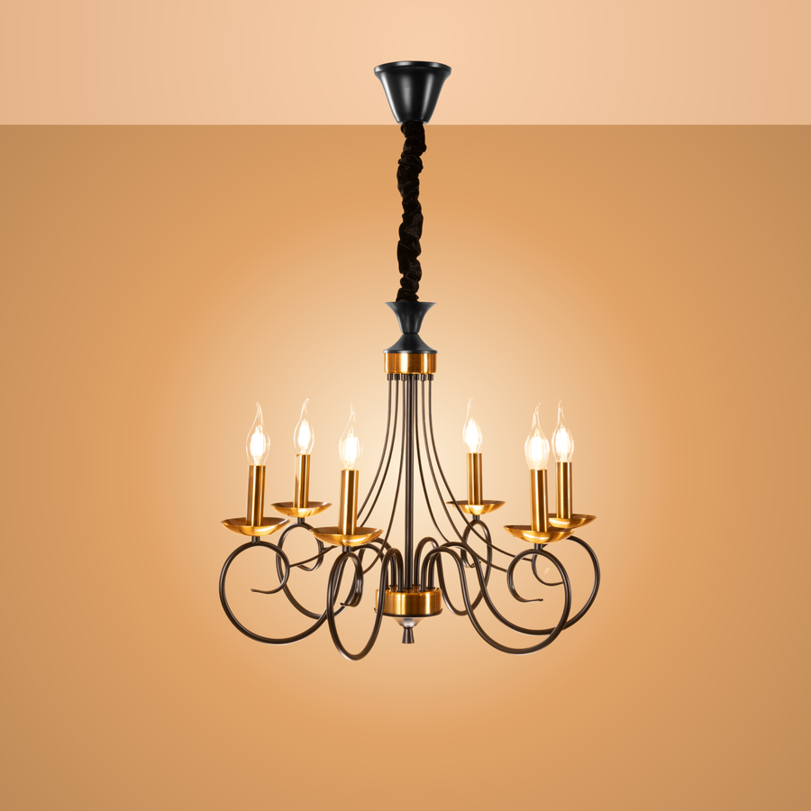 Whimsical Black Chandelier