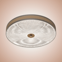 Aurora Borealis Ceiling Light