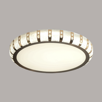 Radiant Disc Ceiling Light - Teenbatti