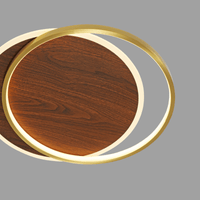 Apex Round Ceiling Light