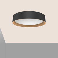 Circlewood Ceiling Light