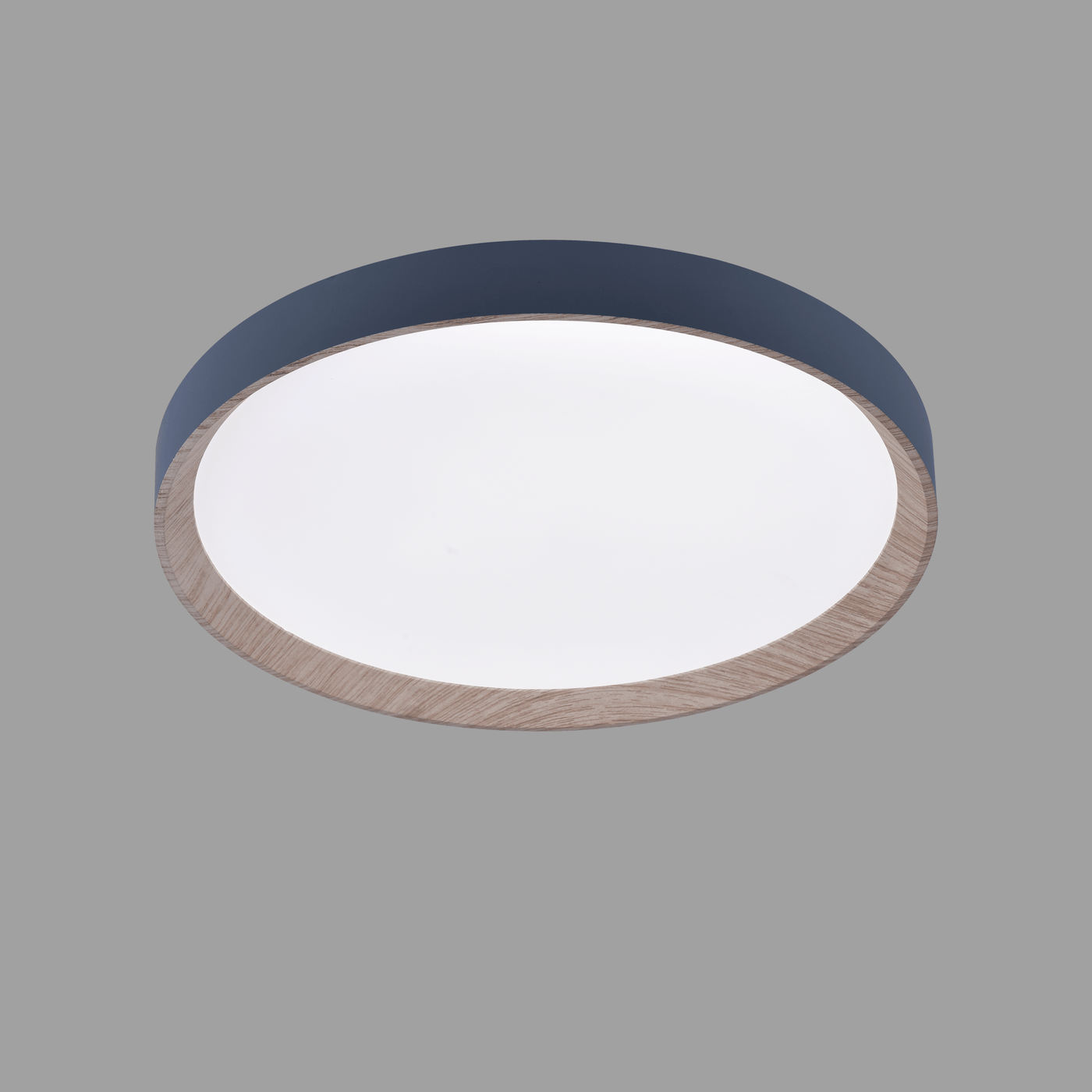 Zenith LED Ceiling Light