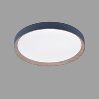 Zenith LED Ceiling Light