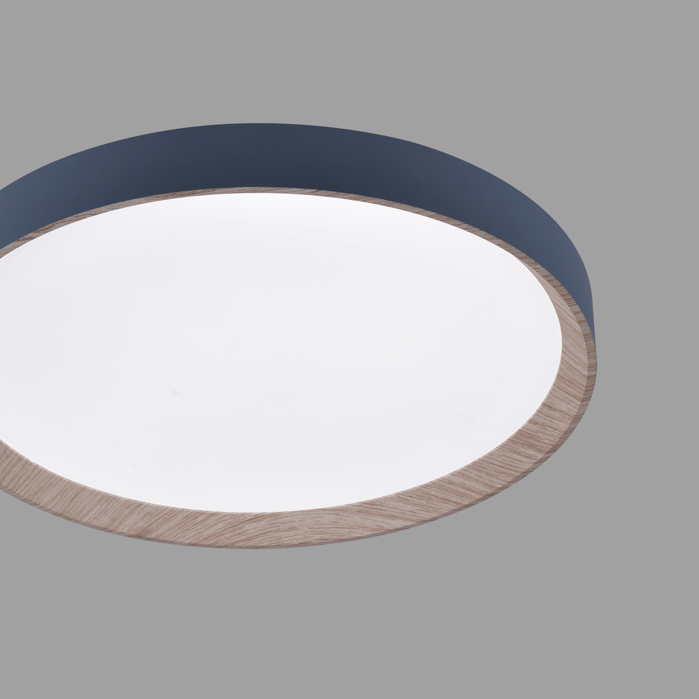 Zenith LED Ceiling Light