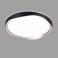 Eclipse Modern Ceiling Light 