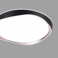 Eclipse Modern Ceiling Light 