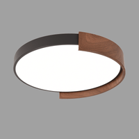 Meridian LED Ceiling Light
