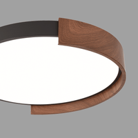 Meridian LED Ceiling Light