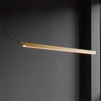 Linearis Gold Linear Light