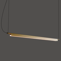 Linearis Gold Linear Light
