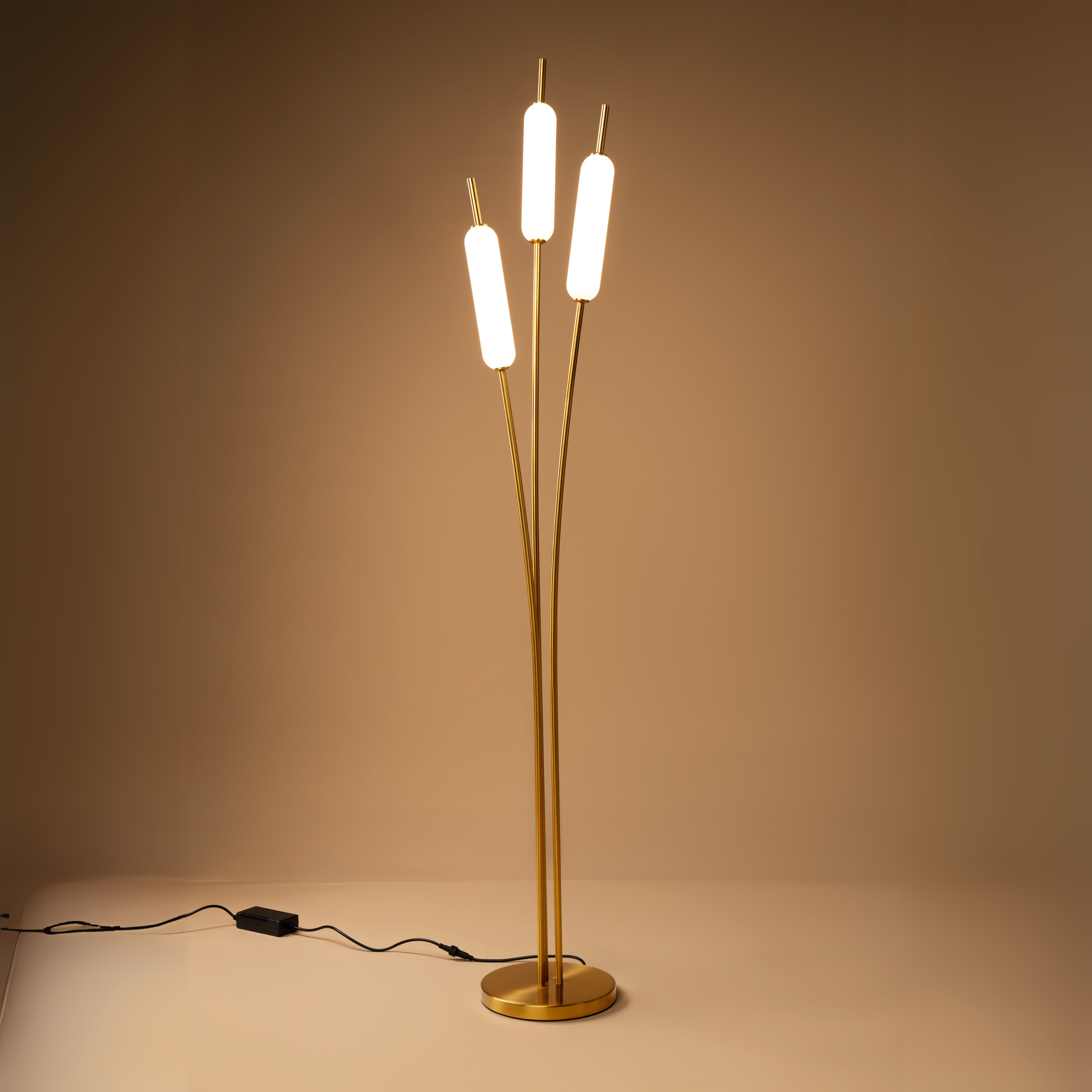 Ascend Floor Lamp - Teenbatti