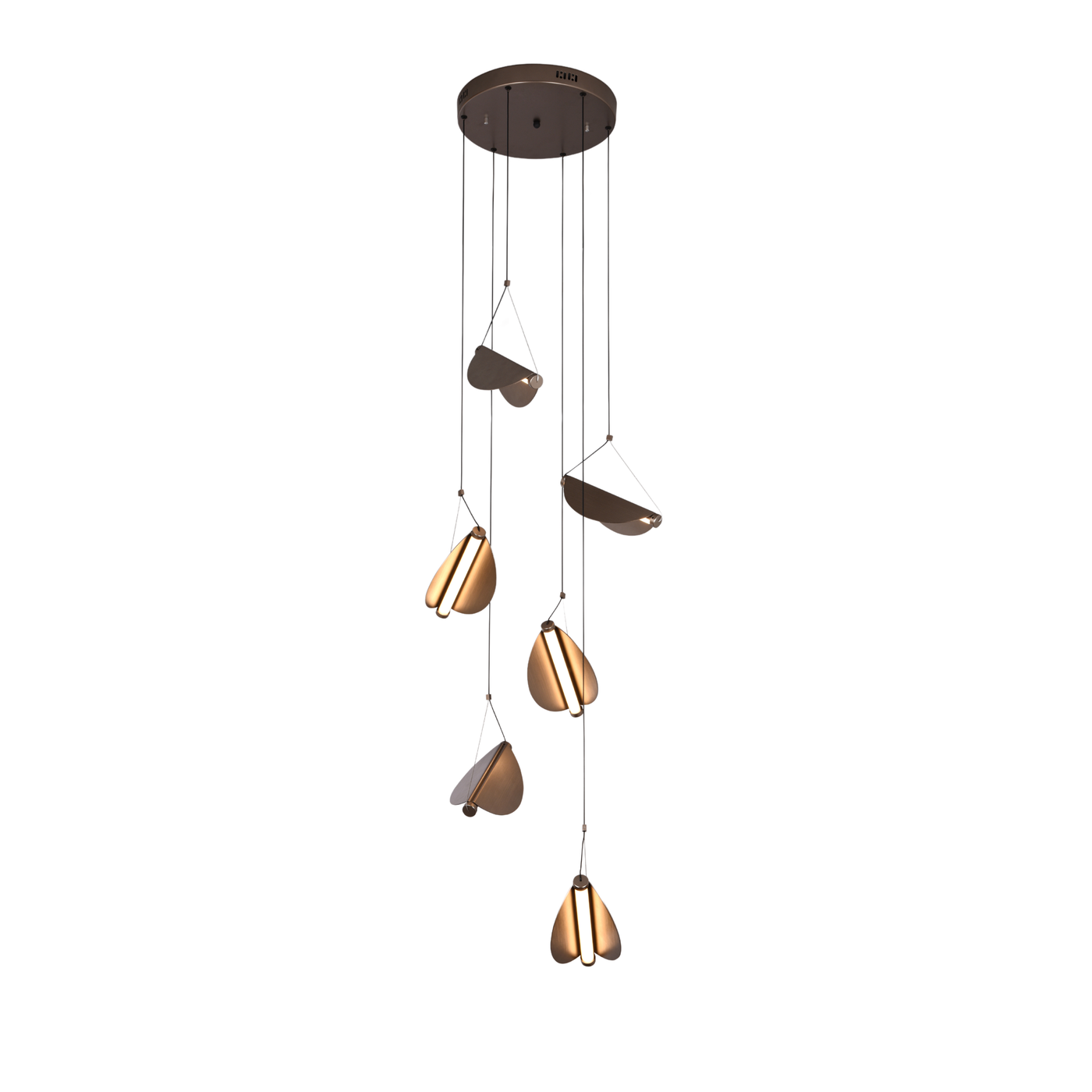 Wings Hanging Light - Teenbatti