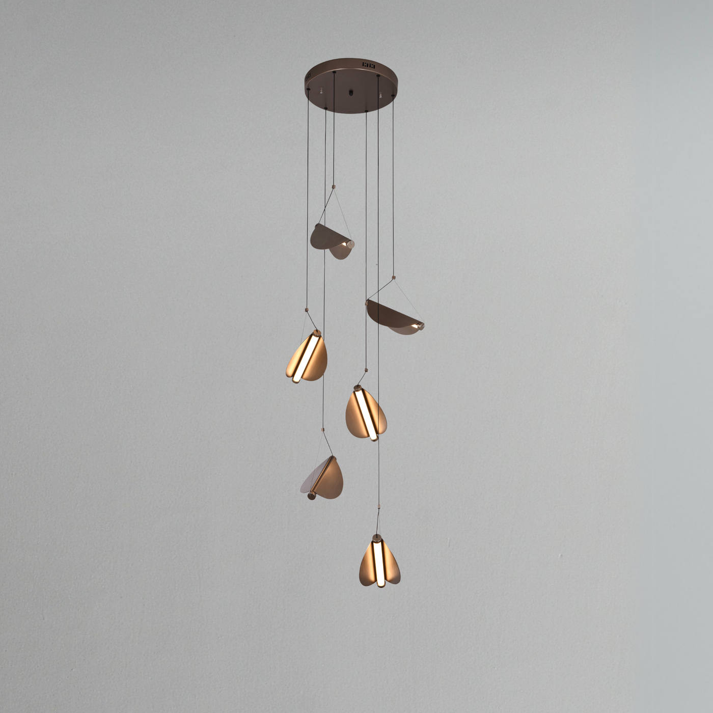 Wings Hanging Light - Teenbatti
