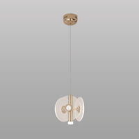 Disca Aurea Hanging Light 