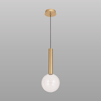 Globescence Hanging Light