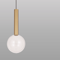 Globescence Hanging Light