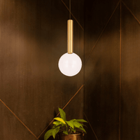 Globescence Hanging Light
