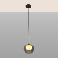 Mini Apple Hanging Light