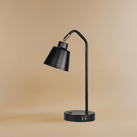 Charge & Glow Desk Lamp - Teenbatti