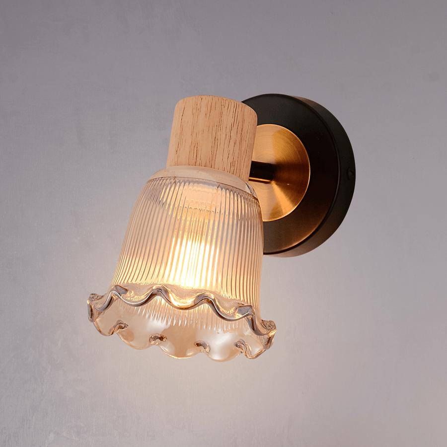 Scallop Shell Single Wall Light Amber