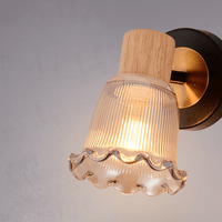 Scallop Shell Single Wall Light Amber