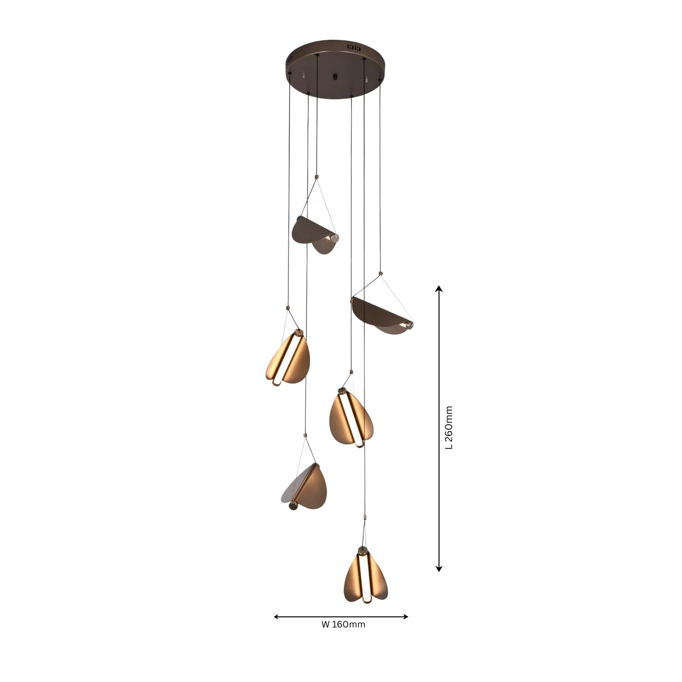 Wings Hanging Light - Teenbatti