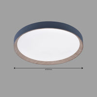Zenith Ceiling Light