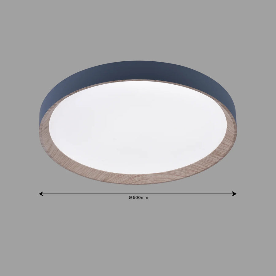 Zenith Ceiling Light